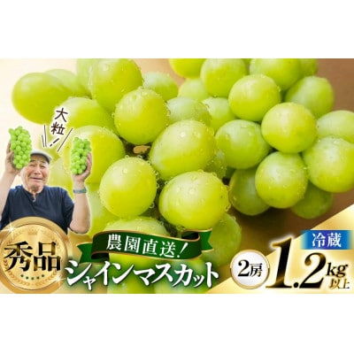 【期間限定発送】シャインマスカット　秀品1.2kg以上(2房)