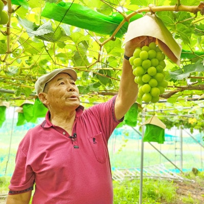 シャインマスカット　秀　1.2kg以上(2房)