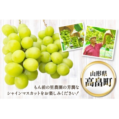 【期間限定発送】シャインマスカット　秀品1.2kg以上(2房)