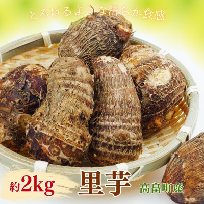 【期間限定発送】里芋 約2kg (15～20個) 土付き 農家の店しゃんくすろーど