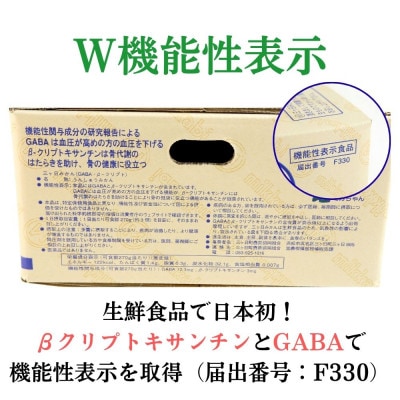 三ヶ日みかん(早生温州) 4kg【2026年11月中旬から12月上旬順次発送】