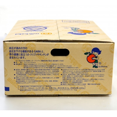 三ヶ日みかん(早生温州) 4kg【2025年11月中旬から12月上旬順次発送】