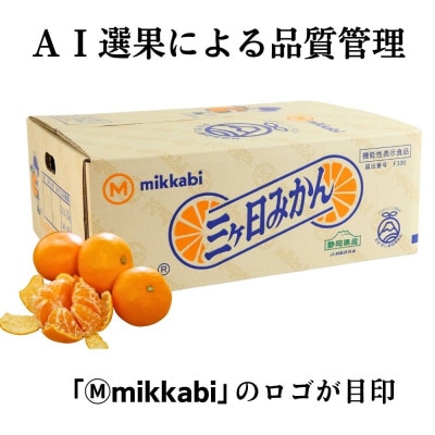 三ヶ日みかん(早生温州) 4kg【2026年11月中旬から12月上旬順次発送】