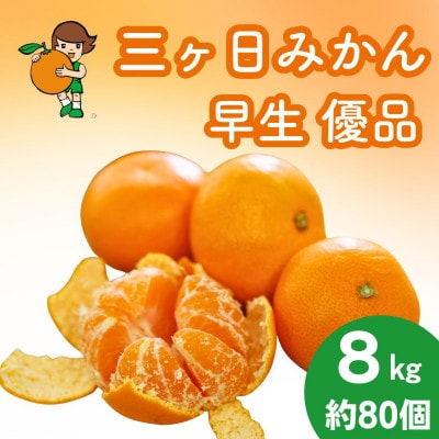 三ヶ日みかん(早生温州) 8kg【2026年11月中旬から12月上旬順次発送】