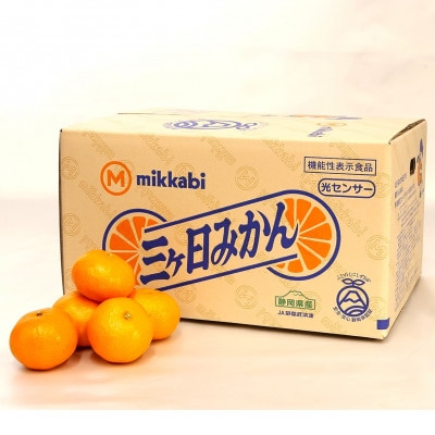 三ヶ日みかん(早生温州) 8kg【2025年11月中旬から12月上旬順次発送】