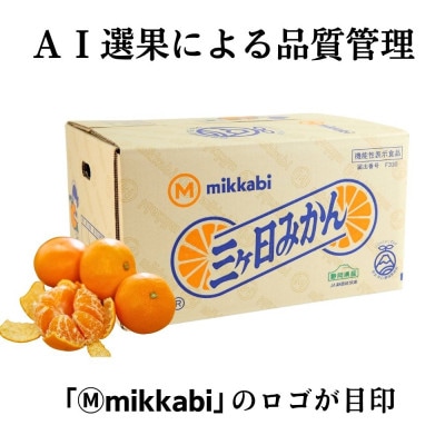 三ヶ日みかん(早生温州) 8kg【2026年11月中旬から12月上旬順次発送】