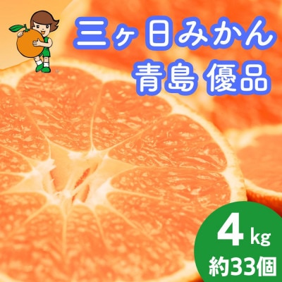 三ヶ日みかん(青島温州) 4kg【2027年1月上旬より順次発送】