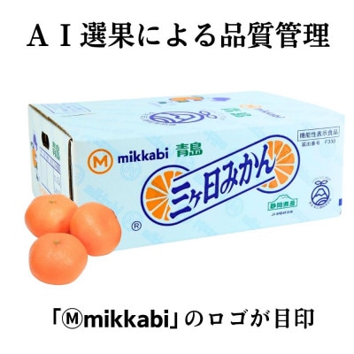三ヶ日みかん(青島温州) 4kg【2027年1月上旬より順次発送】