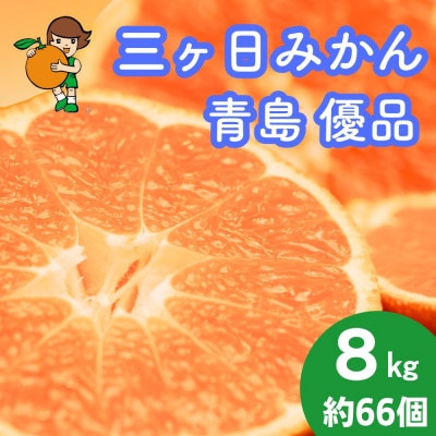 三ヶ日みかん(青島温州) 8kg【2027年1月上旬より順次発送】