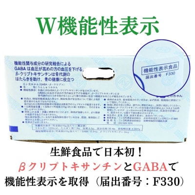 三ヶ日みかん(青島温州) 8kg【2027年1月上旬より順次発送】