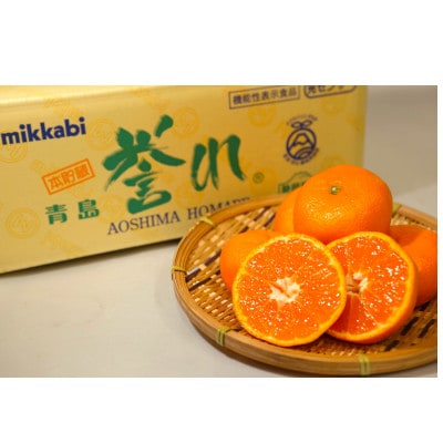 三ヶ日みかん 本貯蔵青島みかん「誉れ」4kg【2026年3月上旬より順次発送】