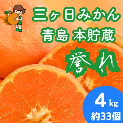 三ヶ日みかん 本貯蔵青島みかん「誉れ」4kg【2027年3月上旬より順次発送】