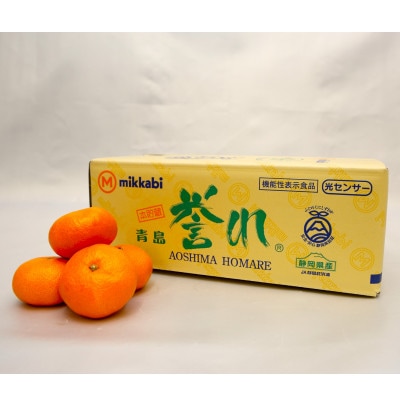 三ヶ日みかん 本貯蔵青島みかん「誉れ」4kg【2026年3月上旬より順次発送】