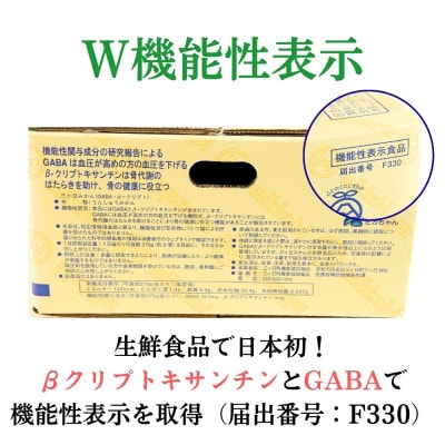 三ヶ日みかん 本貯蔵青島みかん「誉れ」4kg【2027年3月上旬より順次発送】