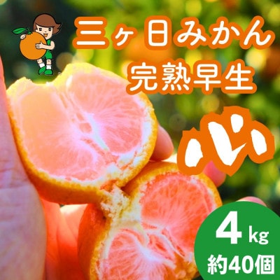 三ヶ日みかん 完熟早生 「心」 4kg【2026年12月中旬頃順次発送】