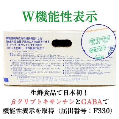 三ヶ日みかん 完熟早生 「心」 4kg【2026年12月中旬頃順次発送】