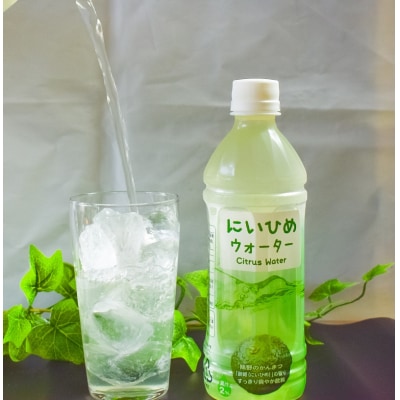 マスク生活で乾くカラダを潤す　にいひめウォーター　510ml×24本