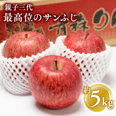 【1月発送】 親子三代最高位のサンふじ約5kg【平川市広船産りんご】