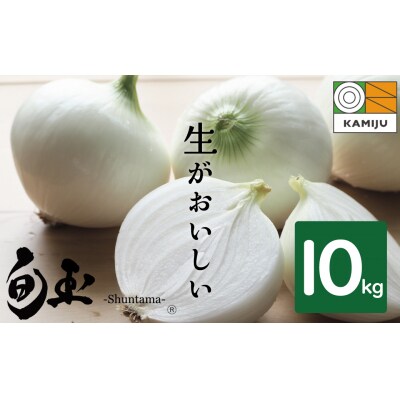 新玉ねぎ　生がおいしい　神重農産のブランド玉ねぎ「旬玉」10kg　H105-149