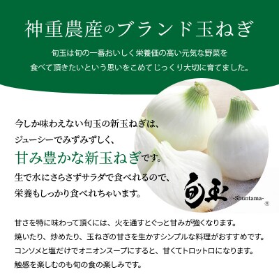 新玉ねぎ　生がおいしい　神重農産のブランド玉ねぎ「旬玉」10kg　H105-149