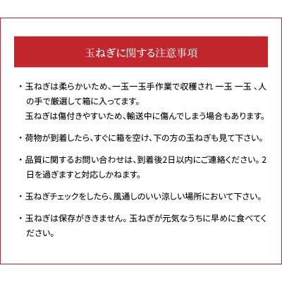 新玉ねぎ　生がおいしい　神重農産のブランド玉ねぎ「旬玉」10kg　H105-149