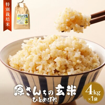原さんちの玄米(ひとめぼれ)4kg