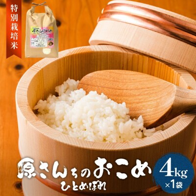 原さんちのお米　(ひとめぼれ)　4kg