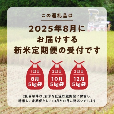 熊本県天草産 早期新米 コシヒカリ5kg 定期便 3回【先行受付】_S128-T01A