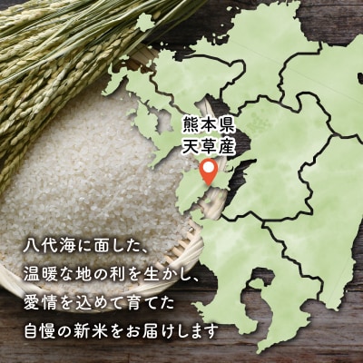 熊本県天草産 早期新米 コシヒカリ5kg 定期便 3回【先行受付】_S128-T01A