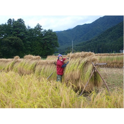 天日干し「亀の尾」玄米コーヒー 100g×1袋