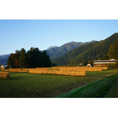 天日干し「亀の尾」玄米コーヒー 100g×1袋