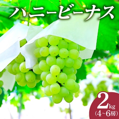 先行受付≪期間限定≫都農町産ハニービーナス(計2kg) ぶどう フルーツ 果物_T015-003