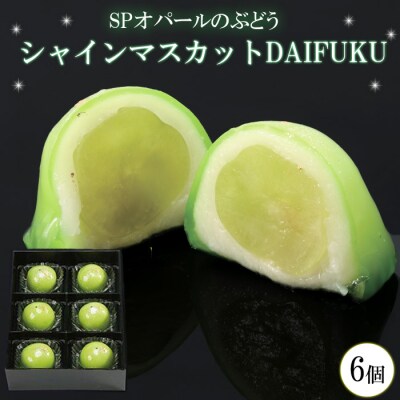 SPオパールのぶどう　シャインマスカット　1箱6個入【1_5-029】