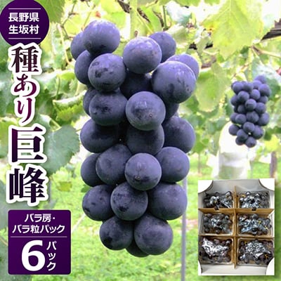 種あり巨峰　バラ房・バラ粒パック(420g×6パック)【2026年度出荷分】