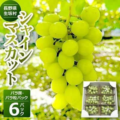 シャインマスカット　バラ房・バラ粒パック(420g×6パック)【2026年度出荷分】