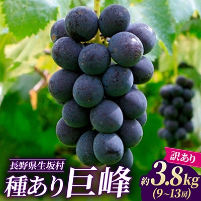 【2026年発送 先行予約】【訳あり】種あり巨峰 約3.8kg(9～13房)