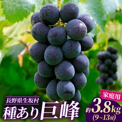【2026年先行予約】【家庭用】種あり巨峰 約3.8kg(9～13房)