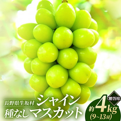 【2026年先行予約】贈答用 シャインマスカット 約4kg(9~13房)種なし