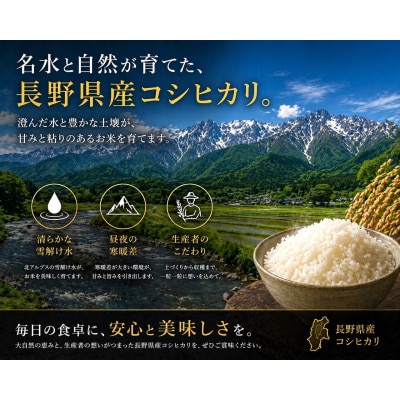 コシヒカリ 金芽米(無洗米) 5kg(1袋)