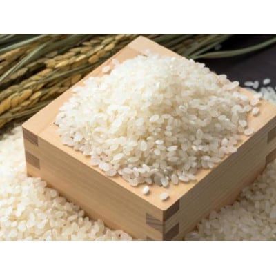 コシヒカリ 無洗米(精米) 5kg(1袋)