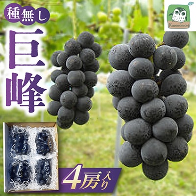 長野県生坂村産　種無し巨峰4房入り
