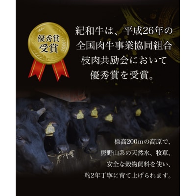 紀和牛サーロインステーキ3枚セット 約690g【冷凍】【tnk101-2】