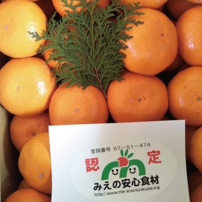 前元農園の中生(なかて)温州みかん5kg【2023年1月初旬～下旬順次発送】【mmg009】
