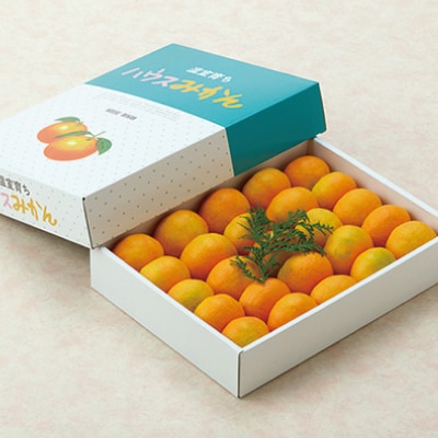 Sサイズ 小玉のみ ハウスみかん約1.5kg【2023年7月～8月頃順次発送】【muj003】