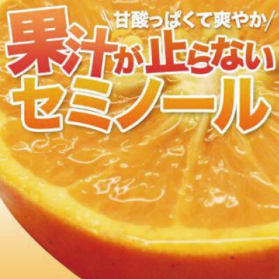 石本果樹園の美味しいセミノール 約4kg入り【4月中旬～5月中旬発送】【min008A】