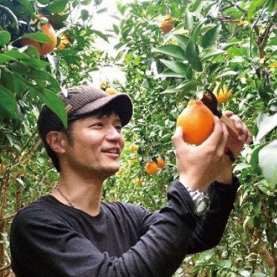 石本果樹園の美味しいセミノール 約4kg入り【4月中旬～5月中旬発送】【min008A】