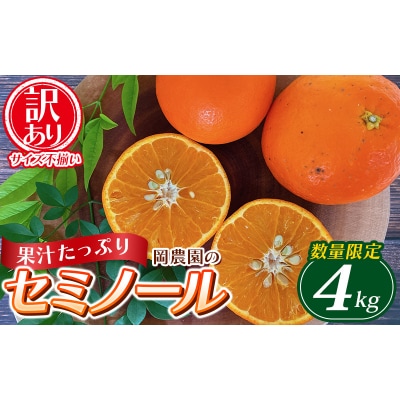 訳あり サイズ混合  岡農園のセミノール4kg 【3月下旬～4月下旬に順次発】【mok009B】