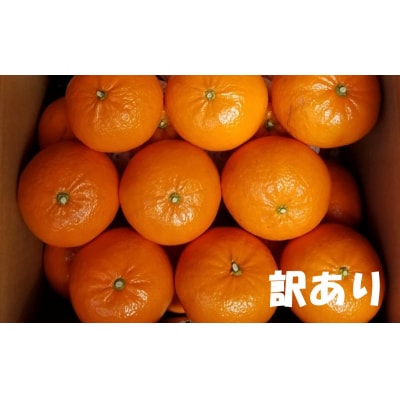 訳あり M~4L サイズおまかせ 濵地農園の麗紅(れいこう) 約5kg【mha006A】