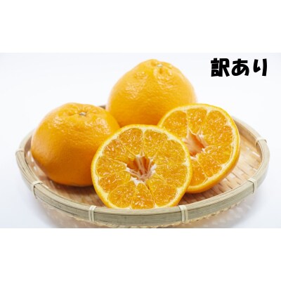 訳あり S-3L サイズおまかせ 石本農園のはるみ 4.5kg【mis018A】