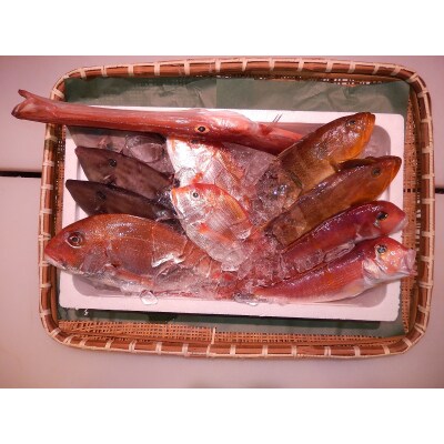 ＼朝どれ新鮮/ 鮮魚セット (大) 約4～5kg前後 目利きのプロが厳選した旬の魚【nss405】